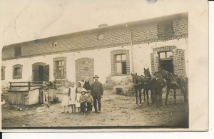 Stara fotografia pocztówkowa konie - 293z