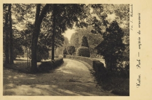 Kalisz Park - Reprodukcja 6013