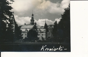 Stara fotografia pocztówkowa Krowiarki - 301z