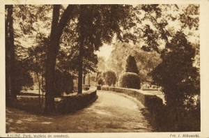 Kalisz Park - Reprodukcja 6012