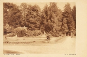 Kalisz Park - Reprodukcja 6011