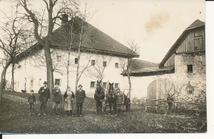 Stara fotografia pocztówkowa konie - 349z