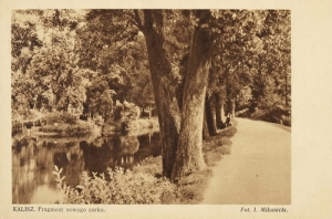 Kalisz Park - Reprodukcja 6010