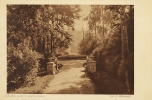 Kalisz Aleja w parku - Reprodukcja 6009