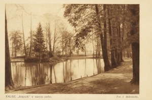 Kalisz Park - Reprodukcja 6007