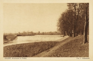 Kalisz Wodospad w parku - Reprodukcja 6006