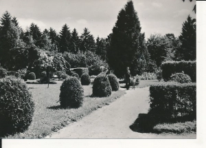 Lubawa park - 057234
