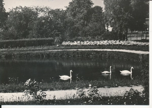 Lubawa park - 057238
