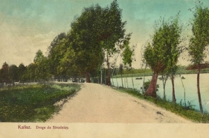 Kalisz Droga do Strzelnicy - Reprodukcja 5982