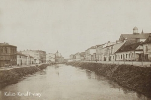 Kalisz Kanał Prosny - Reprodukcja 5940