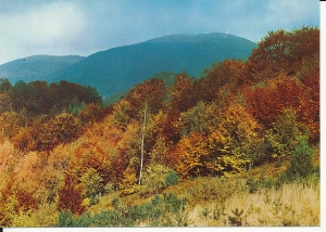 Bieszczady widok na Smerek - 057965