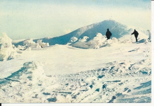 Karkonosze widok na Śnieżkę - 058001