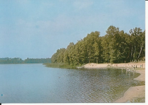 Trzciel jezioro Konin - 058016