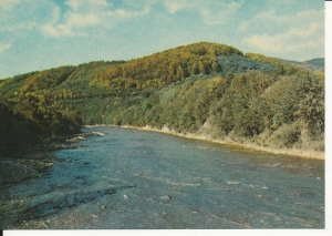 Bieszczady San okolice Dwernika - 058227