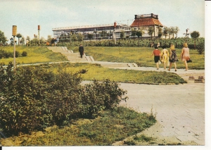 Zielona Góra Palmiarnia - 058239