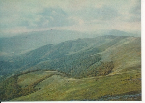 Bieszczady Szeroki Wierch - 058247