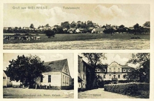 Wielowieś (Białawieś) widoki - Reprodukcja 6107