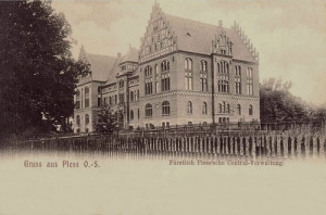 Pszczyna - Reprodukcja 15527
