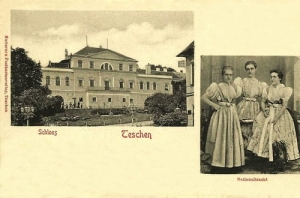 Cieszyn Zamek - Reprodukcja 6169