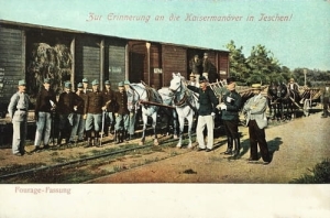 Cieszyn manewry - Reprodukcja 6167