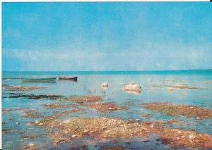 Mazury jezioro Śniardwy - 059049