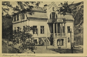 Zaleszczyki Pensjonat Ustronie - Reprodukcja 6156