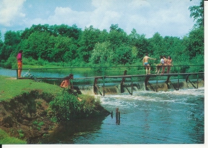 Maluszyn nad Pilicą - 059067