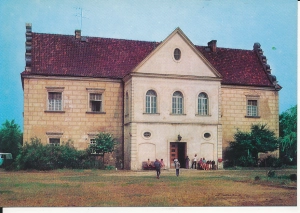 Działoszyn pałac - 059070