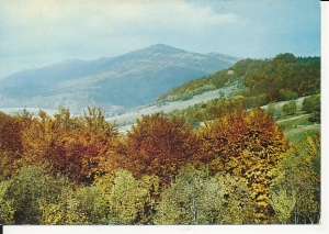 Bieszczady Połonina Wetlińska - 059104