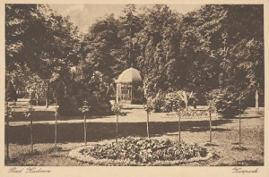 Kudowa Zdrój - Reprodukcja 42606