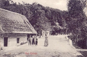 Kudowa Zdrój - Reprodukcja 42624