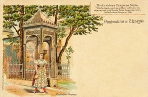 Cieszyn studnia Bracka - Reprodukcja 6143