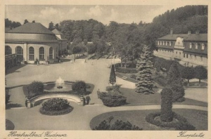 Kudowa Zdrój - Reprodukcja 42648