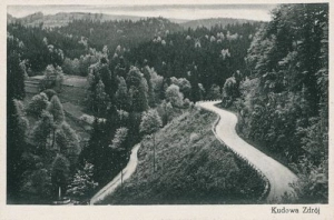 Kudowa Zdrój - Reprodukcja 42657