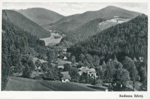 Kudowa Zdrój - Reprodukcja 42660