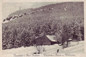 Kudowa Zdrój - Reprodukcja 42684