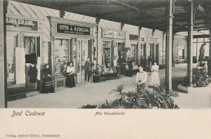 Kudowa Zdrój - Reprodukcja 42688