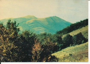 Bieszczady Połonina Wetlińska - 059135