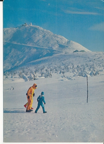 IMG_0017.jpg