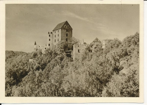 Świny ruiny zamku - 059379