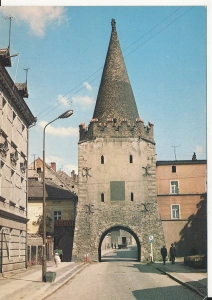 Ziębice Brama Paczkowska - 059441