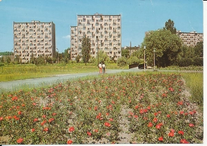 Kielce ul. Nowotki - 059496