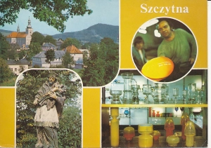 Szczytna widoki widokowa - 059530