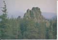 IMG_0041.jpg