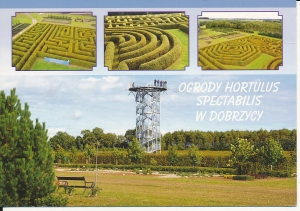 Dobrzyca widoki widokowa - 059651