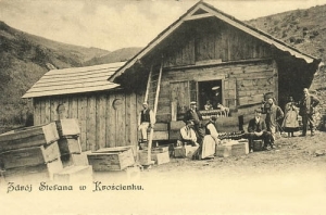 Krościenko Zdrój Stefana - Reprodukcja 6223