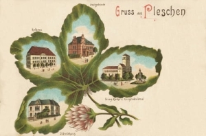 Pleszew widokowa - Reprodukcja 6455