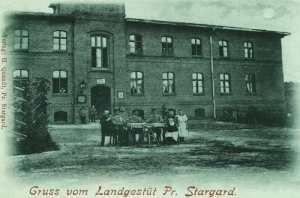 Starogard Stadnina - Reprodukcja 6539
