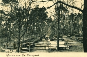 Starogard - Reprodukcja 6536
