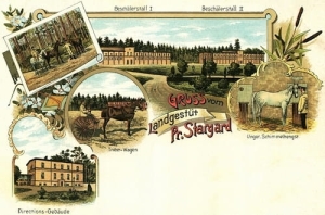 Starogard Stadnina - Reprodukcja 6530